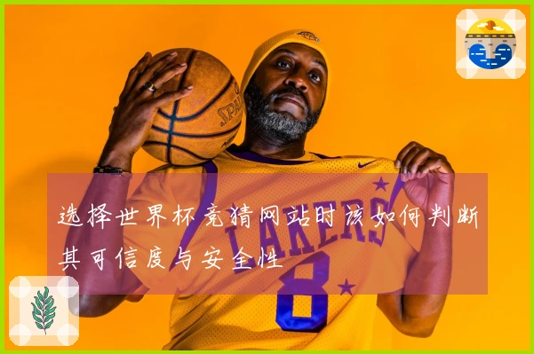 选择世界杯竞猜网站时该如何判断其可信度与安全性